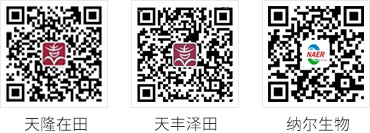 多乐游戏官网首页入口微信公众号
